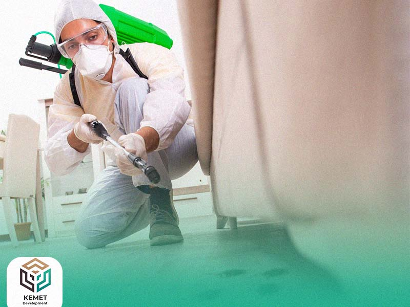 Pest & Rodent Control: Complete Protection for a Safer Environment